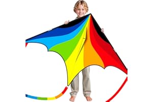 Doinfly Delta Kite for Kids & Adults, Extremely Easy to Fly Kites, Single Line Beach Kite with Winder for Family Outdoor Games & Activities (Delta Rainbow)