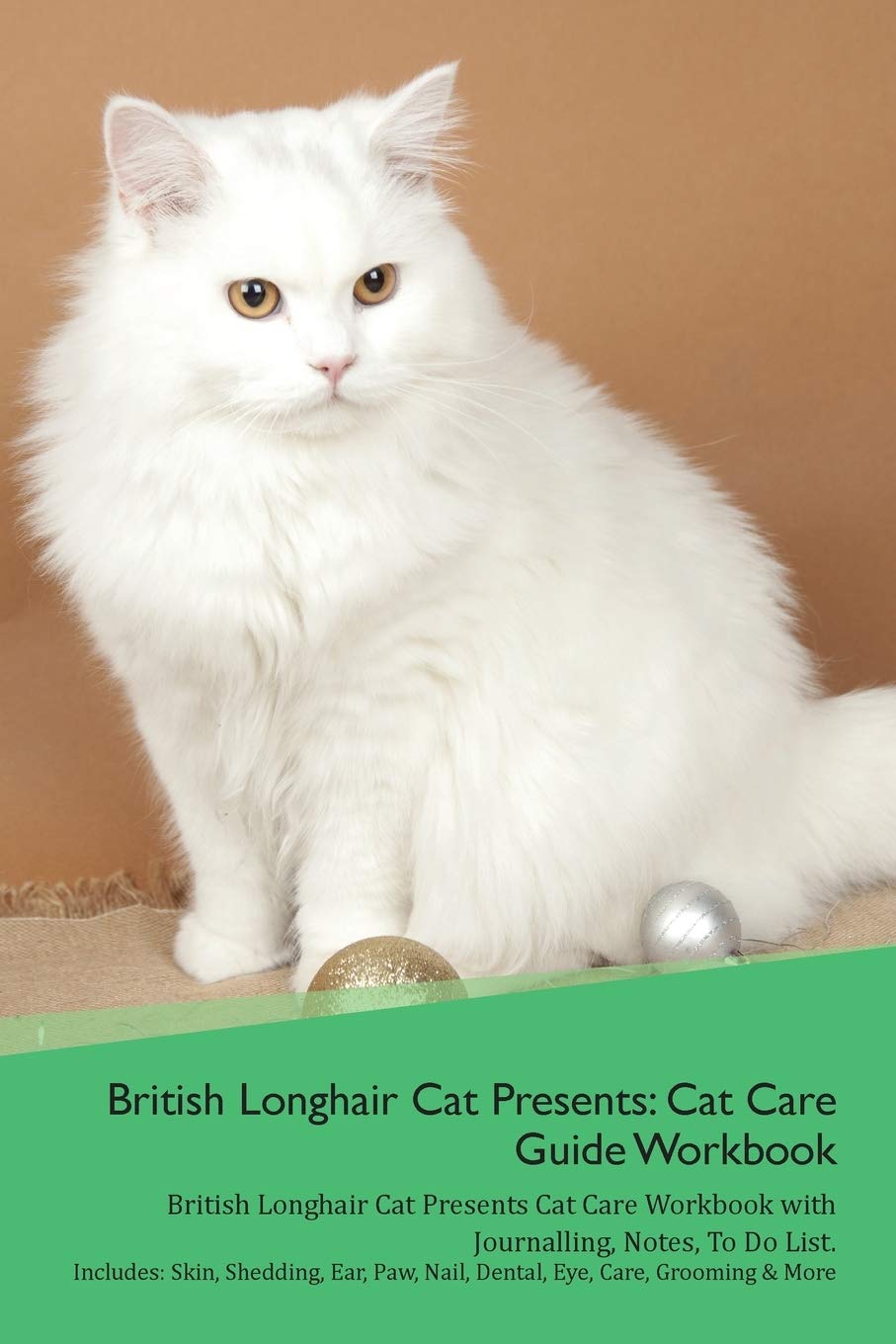 Buy British Longhair Cat Presents Cat Care Guide Workbook British