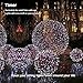 Brizled LED Christmas Lights, 200 LED 65ft Dimmable Mini String Lights, Bluetooth LED Lights Controlled by iOS & Android Devices, Ideal for Wedding, Bedroom, Holiday and Party Decorations, Cool White