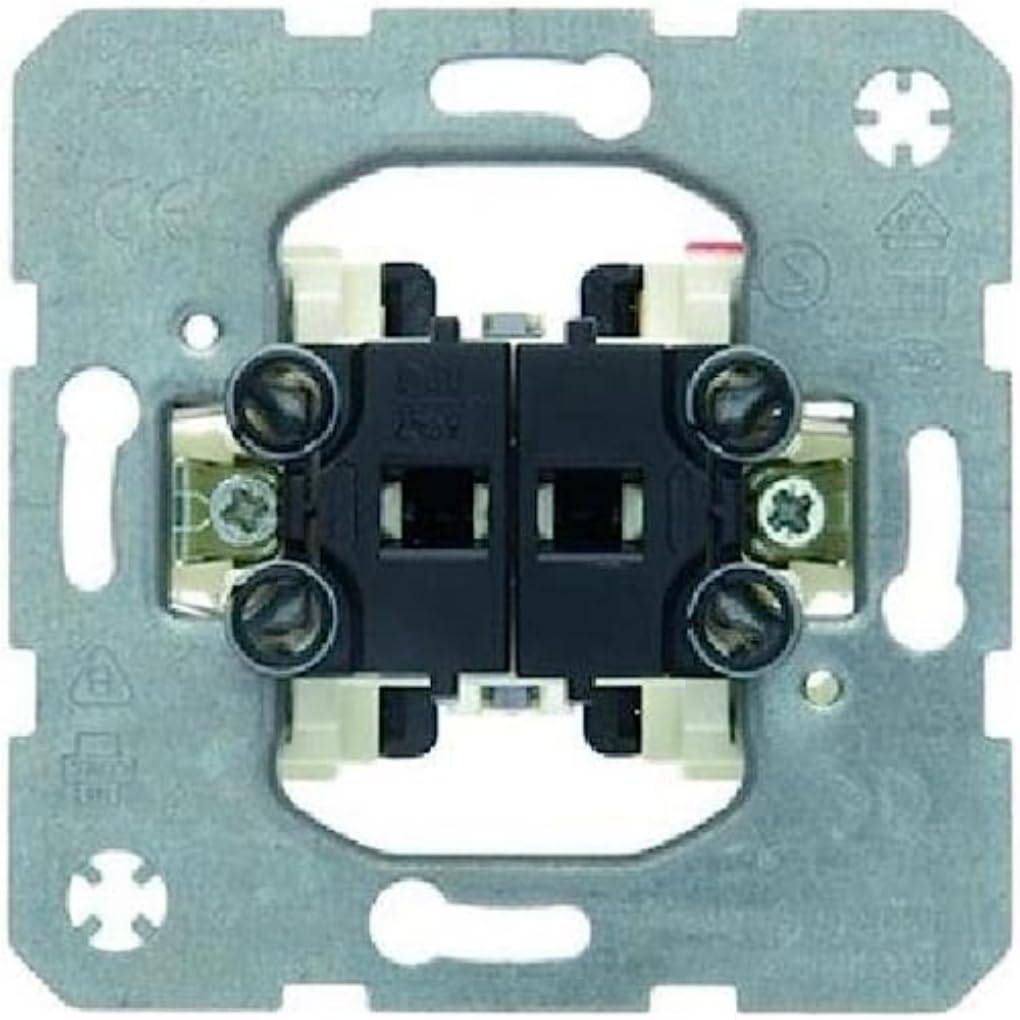 Berker - 303520 Double Blind Switch 10A 250V Ref. 6510020001