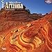 Arizona, Wild & Scenic 2015 Square 12x12 (Multilingual Edition) by 