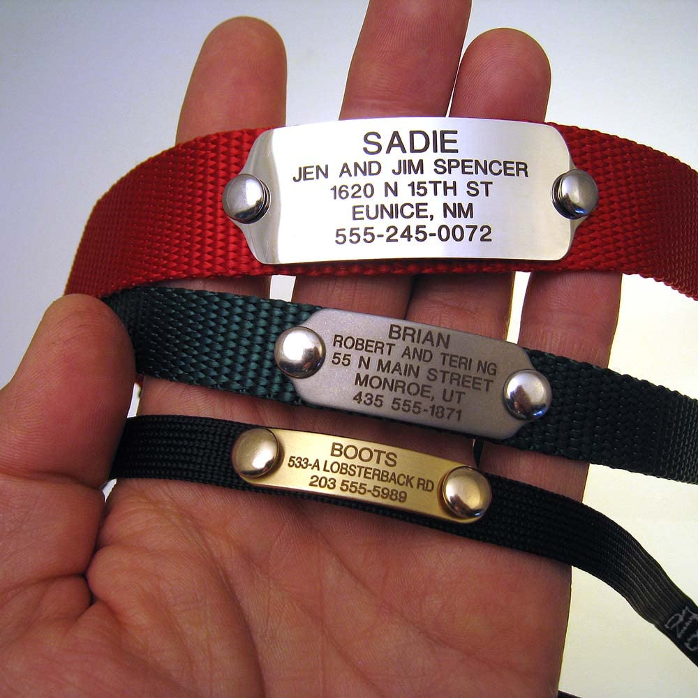 RivetOn Pet ID Tag, Silent, Personalized and Customized Dog ID Tag