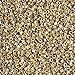 Miyuki Delica Seed Beads Bundle: Size 11/0, 6 Picasso Colors - 6 Tubes of 7.2 Grams ea DB2261, DB2262, DB2263, DB2264, DB2265 & DB2267