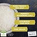 8 oz. Chef's Jar - Fleur de Sel de Guérande French Sea Salt by San Francisco Salt Company