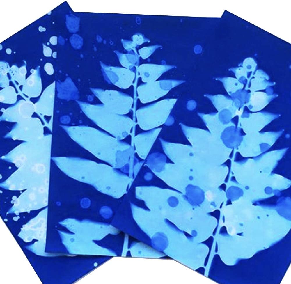 AVA Prime Sunprint Cyanotype Paper, Nature Printing Kit,8.2'' x 11.4'' A4 12-Sheets Sun Activated (2# Lightblue Back)
