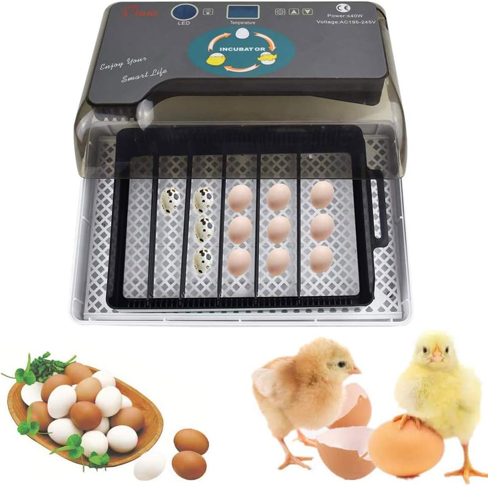 PETAMANIM Egg Incubator Digital Automatic Incubator for Eggs, Ultra-Quiet Led Lighting Incubator with Clear Viewing Window Automatic Turning and Hatching, for Chickens Ducks Goose Birds Pigeon Quail