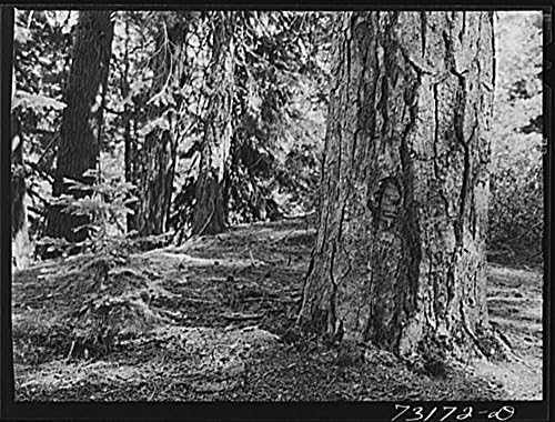 early 1900s photo Geo. Grossmith Black &amp; White Photograph a9