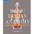 Basic Human Anatomy: An Essential Visual Guide for Artists