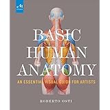 Basic Human Anatomy: An Essential Visual Guide for Artists