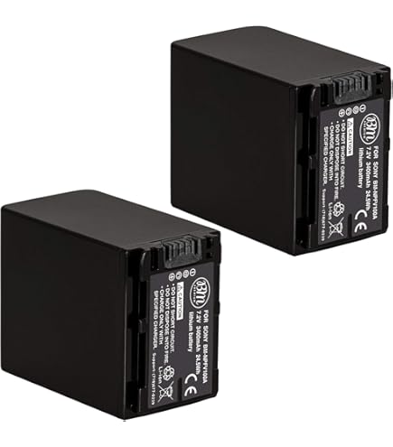 その他 SONY NP FV-100A Amazon.com : Sony NPFV100A Rechargeable Battery Pack (Black