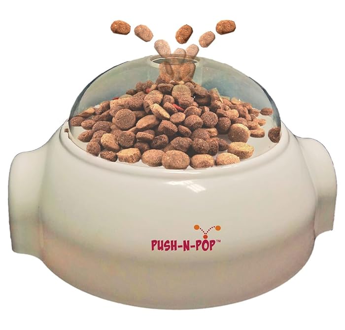 Top 10 Pushbest Food