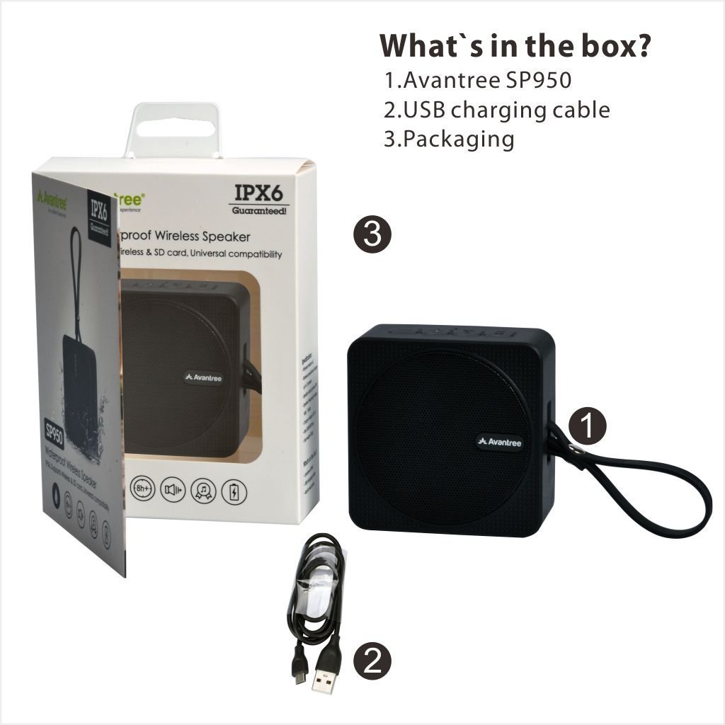 trouble setting up alexa