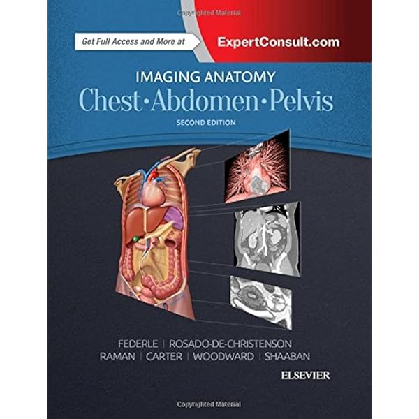 CLINICAL ANATOMY(CD未開封付き) CLINICAL ANATOMY(CD未開封付き)