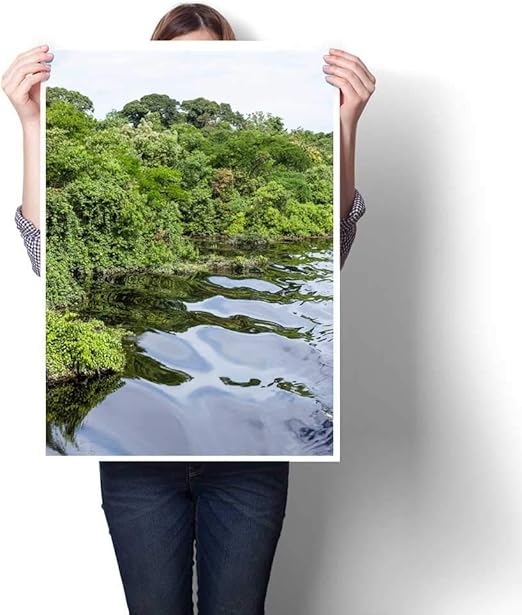 Anniutwo Pintura De Recamara Amazonas Brasil Aguas Oscuras Del Rio