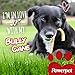 All Natural Bully Sticks Cane 12 inch, FDA & USDA Approved (1)