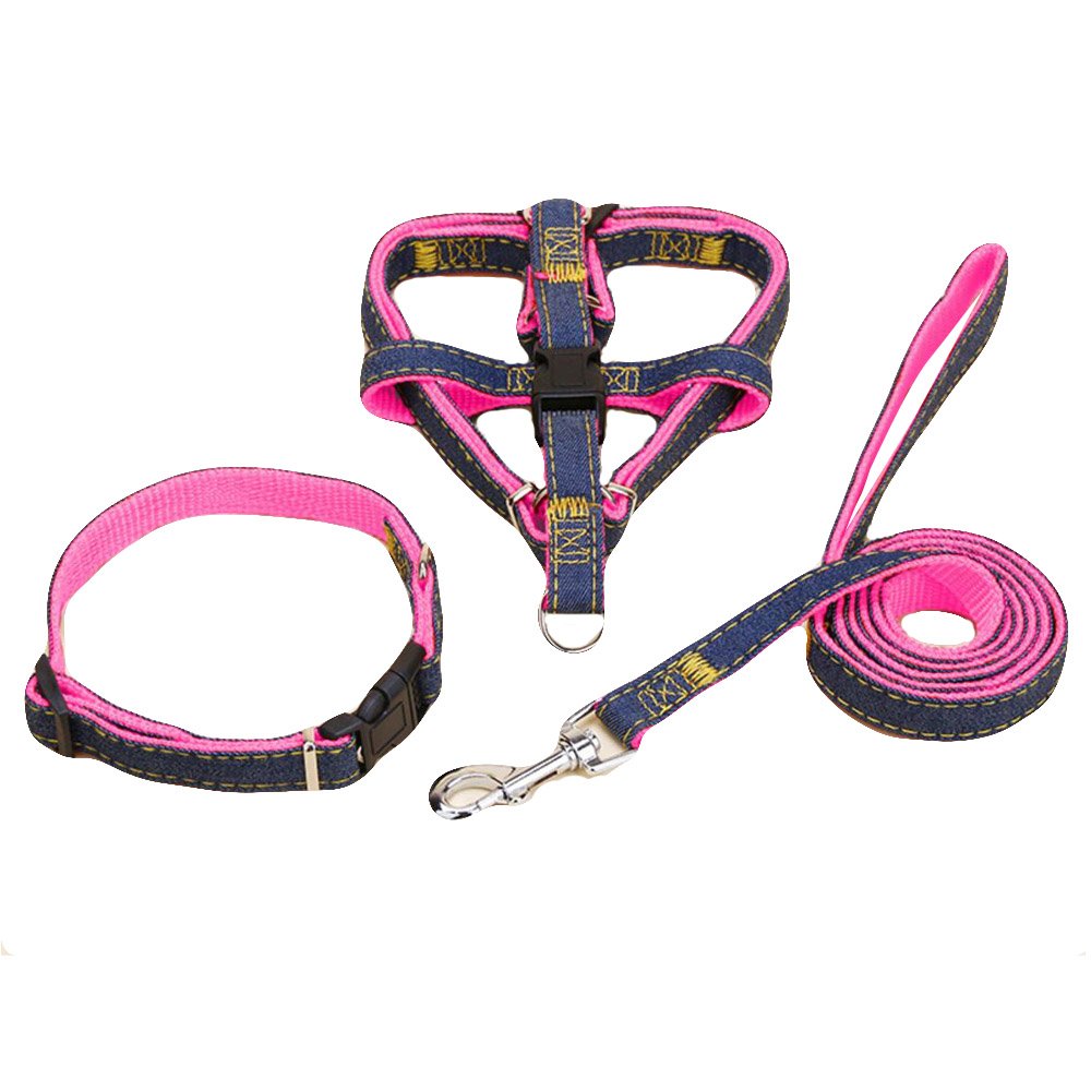 heavy duty dog collars and leashes