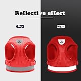 Anlitent Soft Mesh No Pull Cat Harness and Lead Set Red X-Small view 8