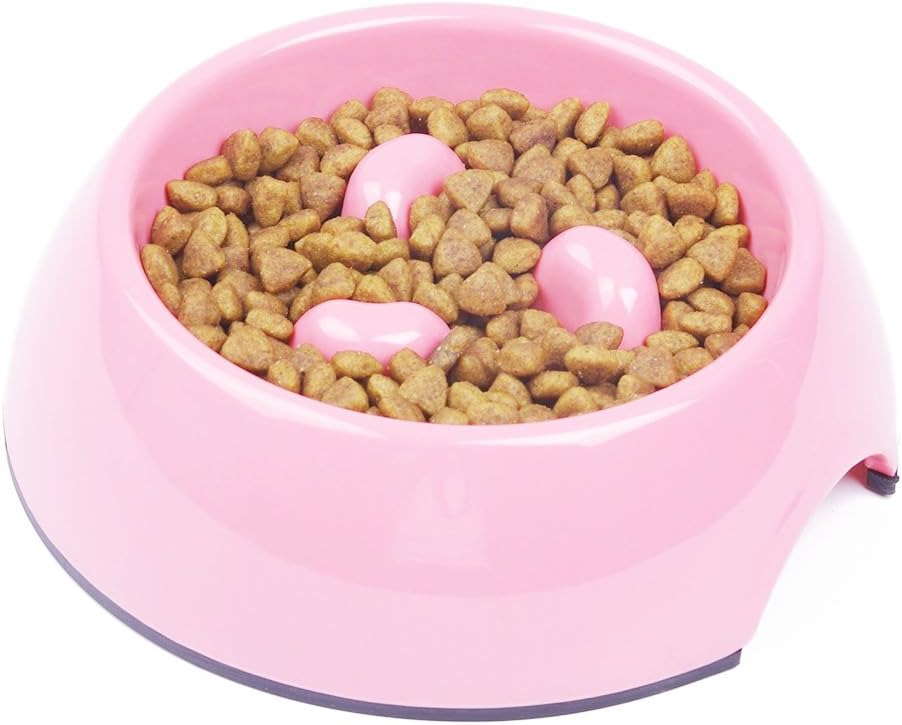 cat food dish to slow down eating