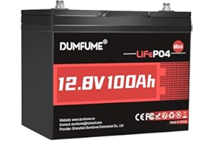 Dumfume 12V 100Ah Mini LiFePO4 Lithium Battery, 100A BMS,1280Wh, 6000+ Cycles BCI Group 24 Lithium Iron Phosphate Battery Perfect for RV, Solar, Off-Grid and Home Energy Storage