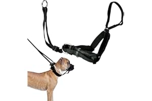 Sporn Head Halter for Dogs - Large Dog Halter, Gentle No-Pull Dog Collar with Padded Nose Strap - Comfortable Anti-Pull Control for Extreme Pullers - Attaches to Leash & Converts to Standard Collar