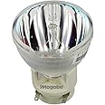Mogobe for SP.8VH01GC01/BL-FP190E Projector Bare Bulb/Lamp, fits OPTOMA EH200ST GT1080 S316 X316 W316 DX346 BR323 BR326 DH1009