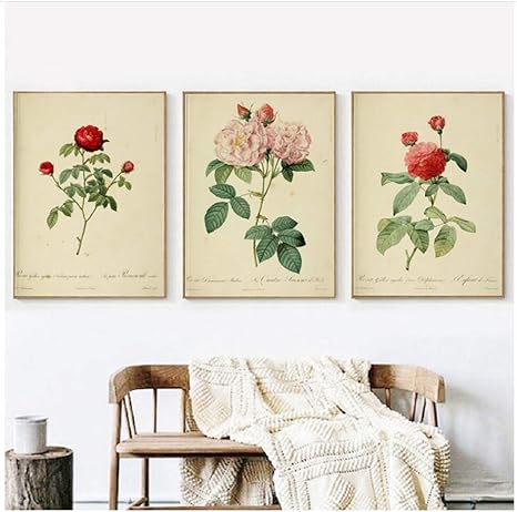 Amazon Co Jp 壁ポスターキャンバスプリント絵画アンティークボタニカルアートヴィンテージフラワーローズリビングルーム用ホームオフィスの装飾 19 6インチx 27 5インチ 50x70cm X3フレームなし ホーム キッチン