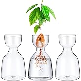 3 Pcs Acorn Vases Glass Avocado Vase Avocado Glass Vase for Growing, Hydroponics Terrariums Pot Deco Indoor Bulb Vasees Propagation Vases for Home Table Desk Indoor Decor Gardening Lover Gifts