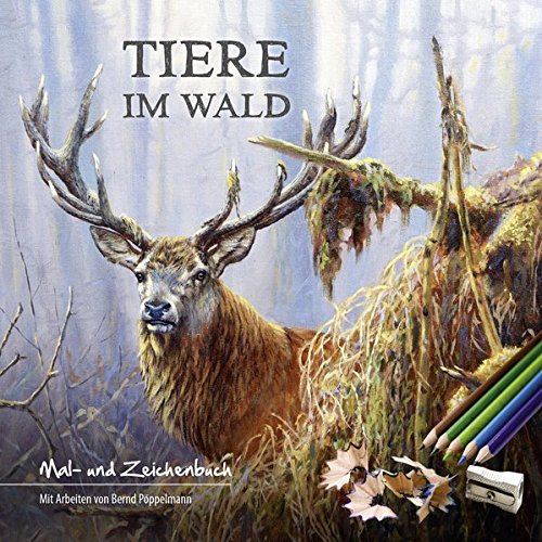 Tiere Im Wald Mal Und Zeichenbuch Poppelmann Bernd Amazon De Bucher