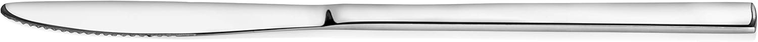 New Star Foodservice 58789 Windsor Pattern, 18/0 Stainless Steel, Dinner Knife, 8.2-Inch, Set of 12: Kitchen & Dining