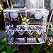 in-Tank Aquarium Breeder Box for Fish Tank, Breeding Incubator for Small Fish Hatchery, Acrylic Divider for Shrimp Clownfish Aggressive and Injured Fish, Can Connect Air Pump (Large)