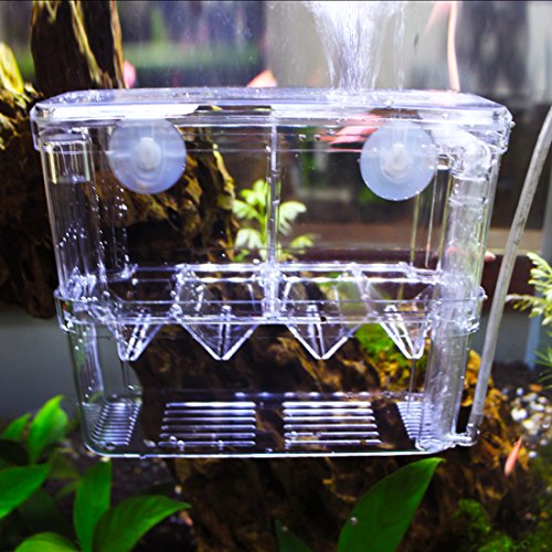 1 Petzilla+PBI+2+Aquarium+Breeder+Hatchery