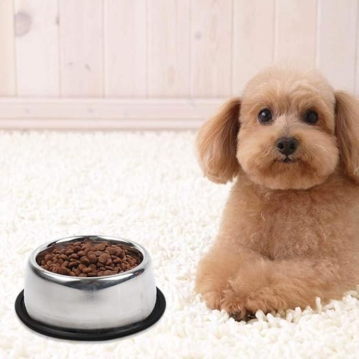 safe dog food bowls