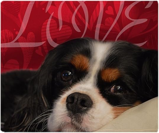 Cafepress Cavalier King Charles Spaniel Amour Doux En