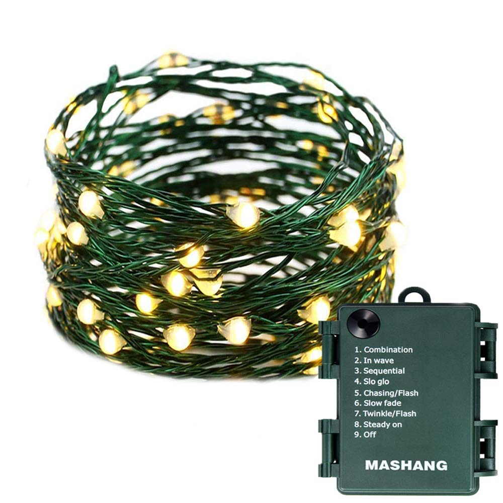 Photo 1 of MASHANG Christmas Lights Battery String Lights 33FT 100 Micro LEDs Starry Lights Fairy Lights Firefly Lights with Dark Green Copper Wire for Christmas Tree, Wreath, DIY, Wedding, Holiday(Warm White)