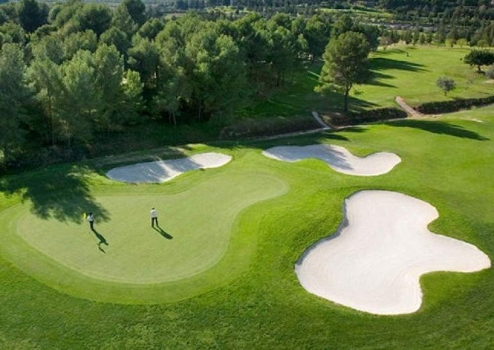 1 Pound Creeping BentGrass Seeds