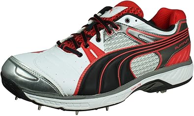 puma shoes for men cricket
