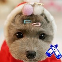tear stain medicine for dogs