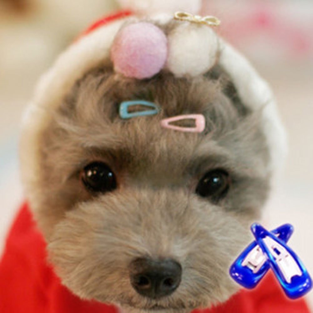 Pet Show Cute 0 9 Waterdrop Small Snap Hair Clips Pet Grooming