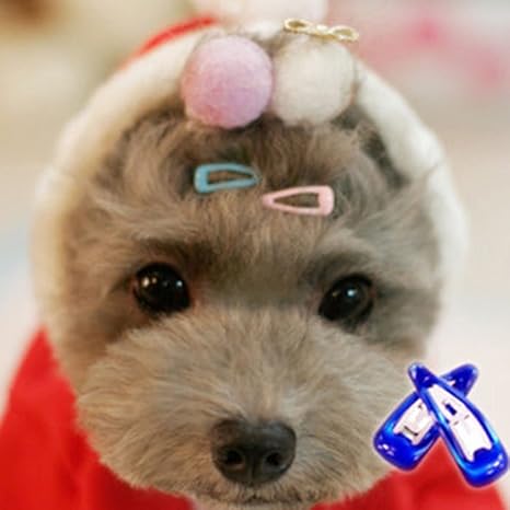 Pet Show Cute 0 9 Waterdrop Small Snap Hair Clips Pet Grooming