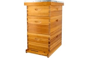 ThxBees 8 Frame Bee Hive Beeswax Coated Complete Beehive Kit Include Frames and Foundation Sheet for Beekeeping Supplies (Unassembled 2 Deep & 1 Medium Bee Boxes)