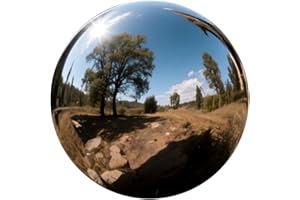 Mageeki 12 Inch Stainless Steel Gazing Ball, Garden Gazing Globe Mirror Ball, Polished Shiny Sphere for Garden Yard Outdoor, Swimming Pool Decoration (Silver)