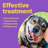 Bob Martin Clear 3-in-1 Wormer for Dogs (4 Tablets) Small to 40kg view 3