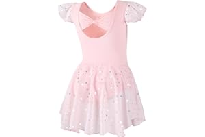 DIPUG Girls Ballet Leotards Toddler Shiny Dance Leotard Dresses with Ruffle Sleeve