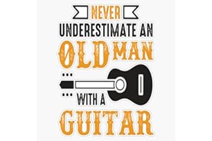 FINK STUDIO Guitar Vinyl Sticker Waterproof Decal Laptop Wall Window Bumper Sticker 5"