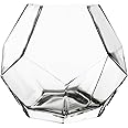 CYS EXCEL 7" Clear Glass Geometric Terrarium Bowl | Prism Honeycomb Plant Vase | Hexagon Design Candle Holder Container