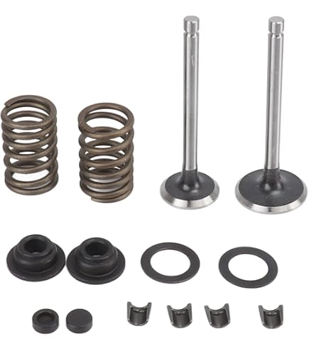 Amazon.com: B&S Intake Valve Replaces B&S 261044 : Automotive