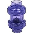 UPVC True Union Swing Check Valve - 1" Slip Swing Full Port Utility Check Valve for Backflow Prevention