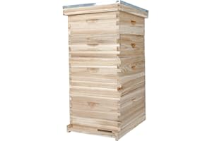 BeeCastle 10-Frame Complete Bee Hives and Supplies Starter Kit, Beehives for Beginners with Beehive Frames and Waxed Foundations (2 Deep Bee Boxes & 2 Medium Super Bee Boxes)