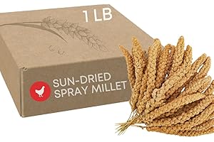 Ma Poule Express Worlds Freshest Sun-Dried Spray Millet GMO and Pesticide Free Original Bird Treat and Supplement for All Pet