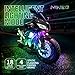 NINEO RGB LED Strip Lights Kit Multi-Color Neon w/Remote Controller for ATV UTV Cruiser Harley Davidson Ducati Suzuki Honda Triumph BMW Kawasaki Yamaha (Pack of 8)thumb 4